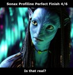 Sonax Profiline Perfect Finish.jpg